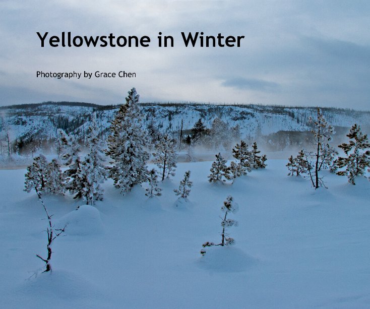 Ver yellowstone in winter por Photography by Grace Chen