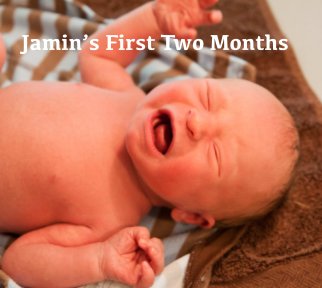 Jamin's First Two Months book cover