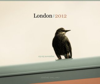 London⫻2012 book cover