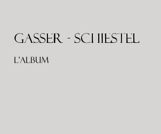 GASSER - SCHIESTEL book cover