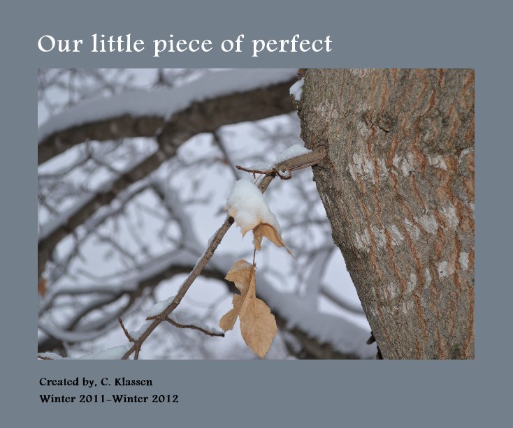 View Our little piece of perfect by Carrie Klassen