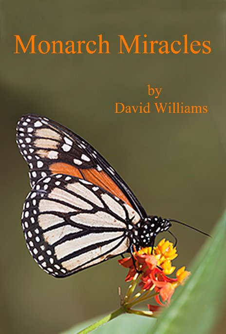 View Monarch Miracles by David Williams