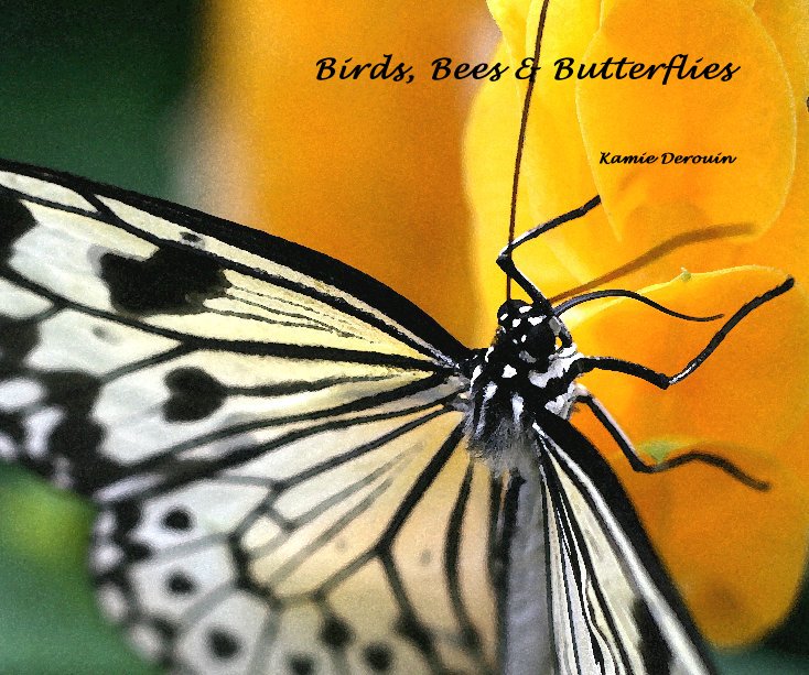 Ver Birds, Bees & Butterflies por Kamie Derouin