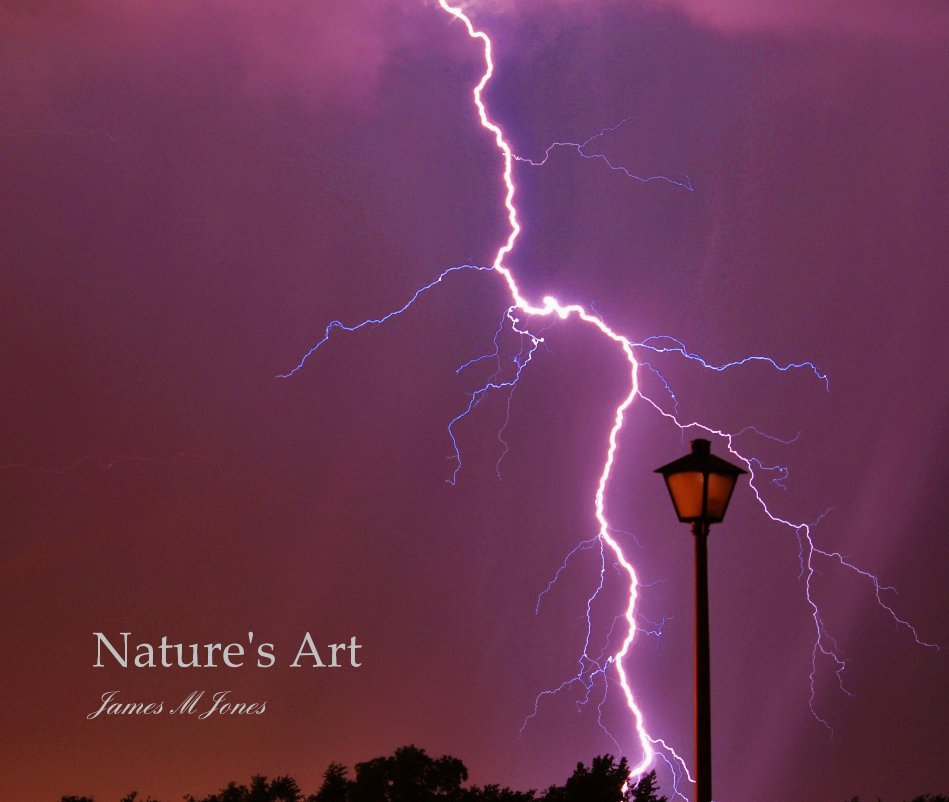 View Nature's Art by James M Jones