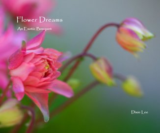 Flower Dreams book cover
