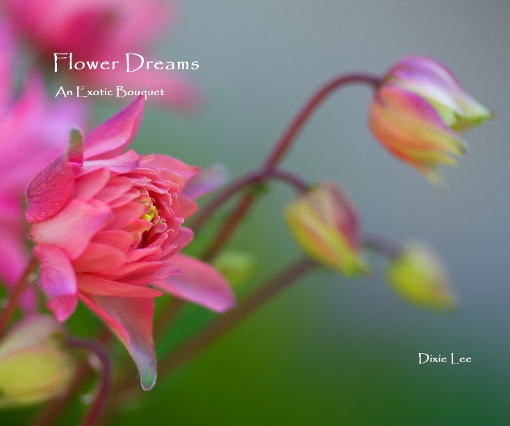 Ver Flower Dreams por Dixie Lee