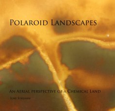 Polaroid Landscapes book cover