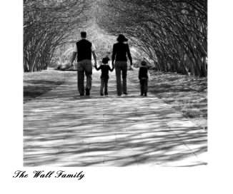The Wall Family book cover