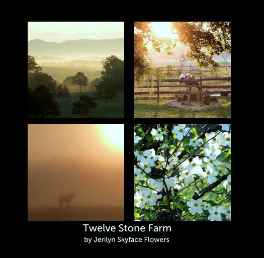 View Twelve Stone Farm by Jerilyn Skyface Flowers