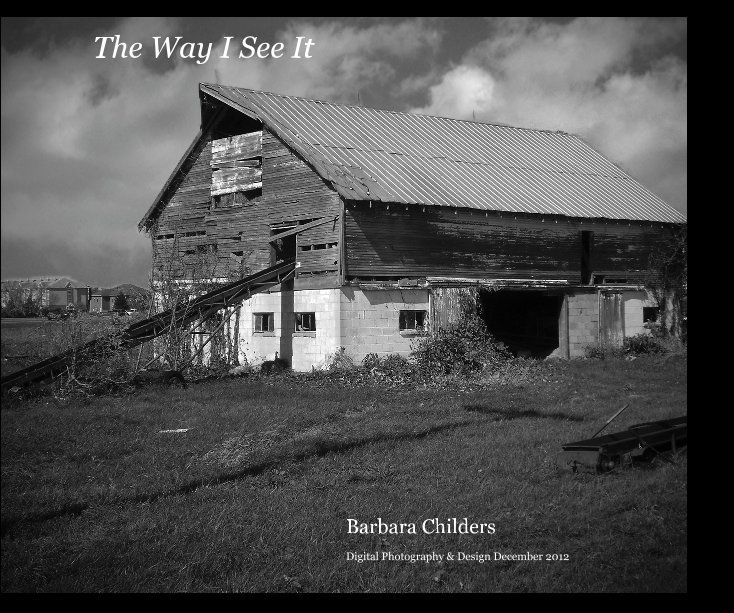 View The Way I See It by Digital Photography & Design December 2012