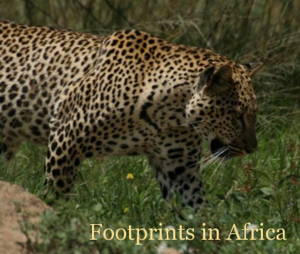 Footprints in Africa book cover