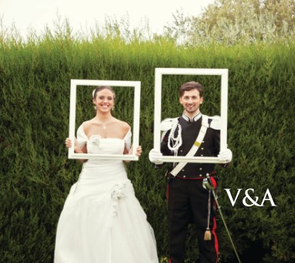 V&A book cover
