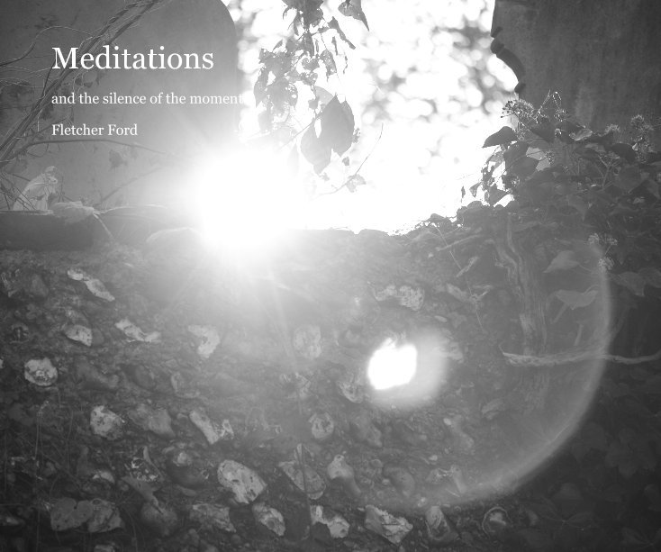 View Meditations by Fletcher Ford