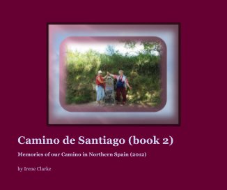 Camino de Santiago (book 2) book cover
