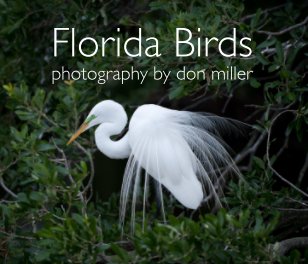 Florida Birds (rev 2) book cover