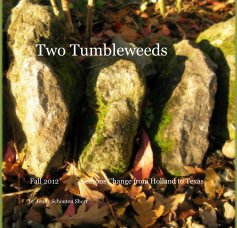 Two Tumbleweeds book cover