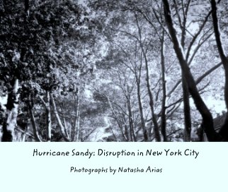 Hurricane Sandy: Disruption in New York City book cover