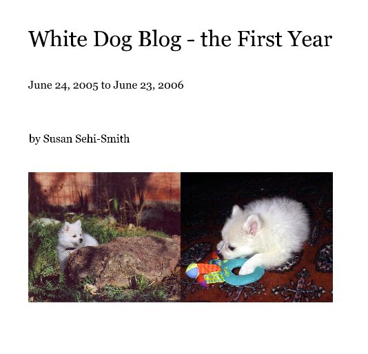 View White Dog Blog - the First Year by Susan Sehi-Smith