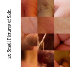 20 Small Pictures of Skin book cover