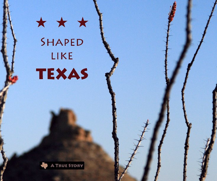View Shaped Like Texas by Louise Mitchell