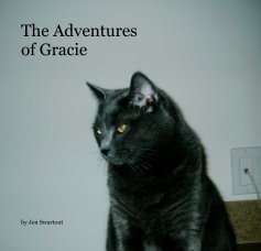 The Adventures of Gracie book cover