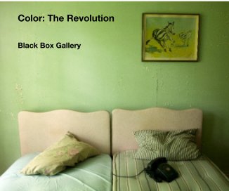 Color: The Revolution book cover