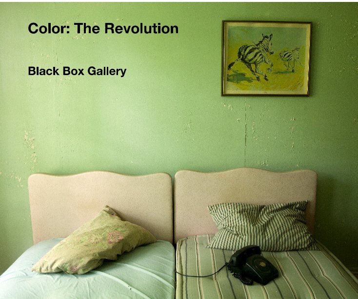 View Color: The Revolution by Black Box Gallery