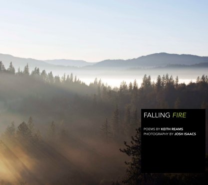 Falling Fire book cover