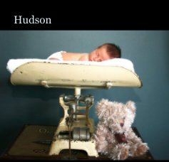 Hudson book cover