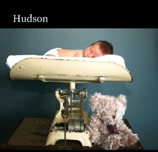 Visualizza Hudson di debbebehnke
