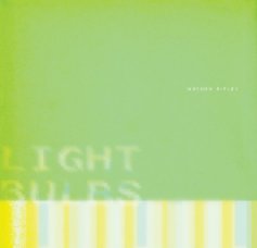 Light Bulbs book cover