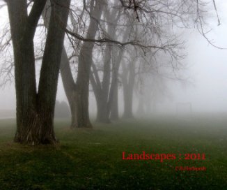 Landscapes : 2011 book cover