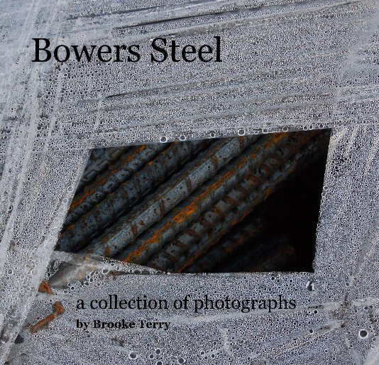 View Bowers Steel by Brooke Terry