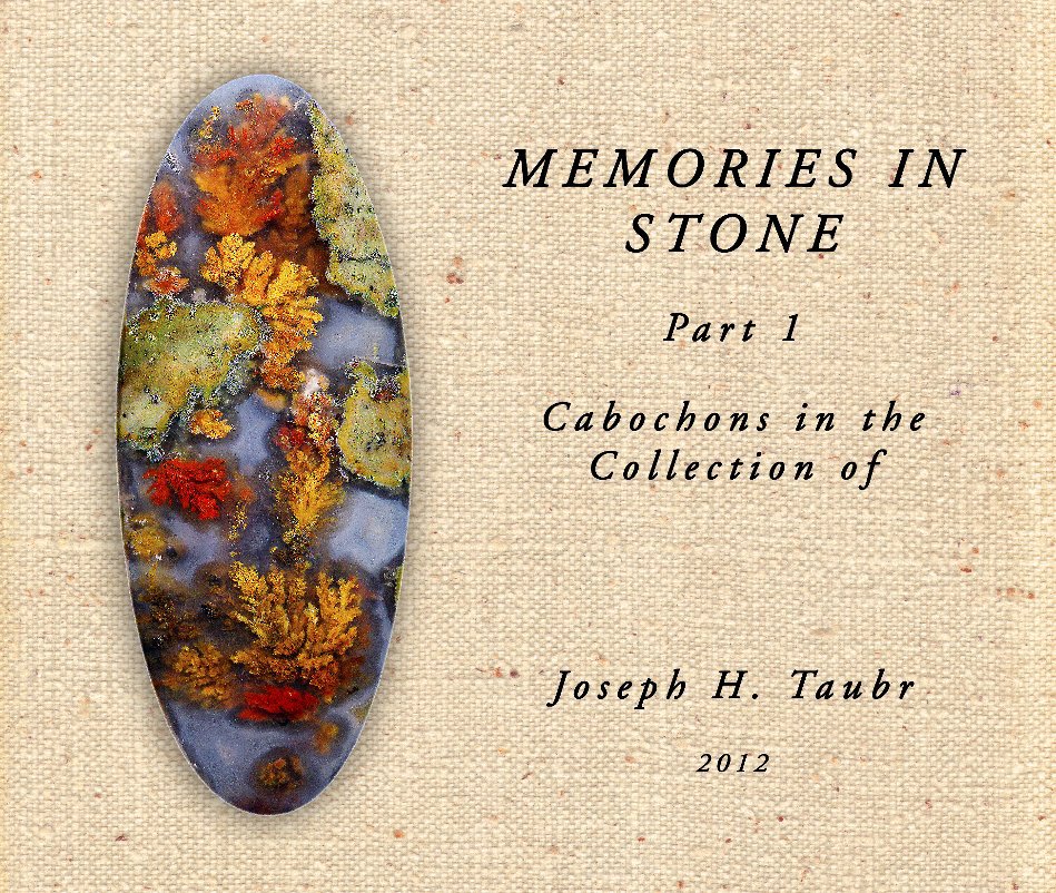 Ver Memories In Stone Part 1 por Joseph H. Taubr