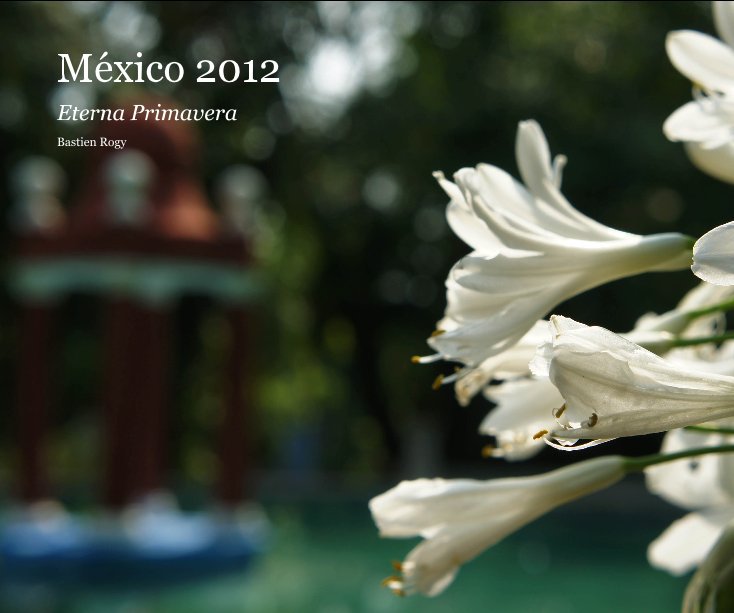 Bekijk México 2012 op Bastien Rogy