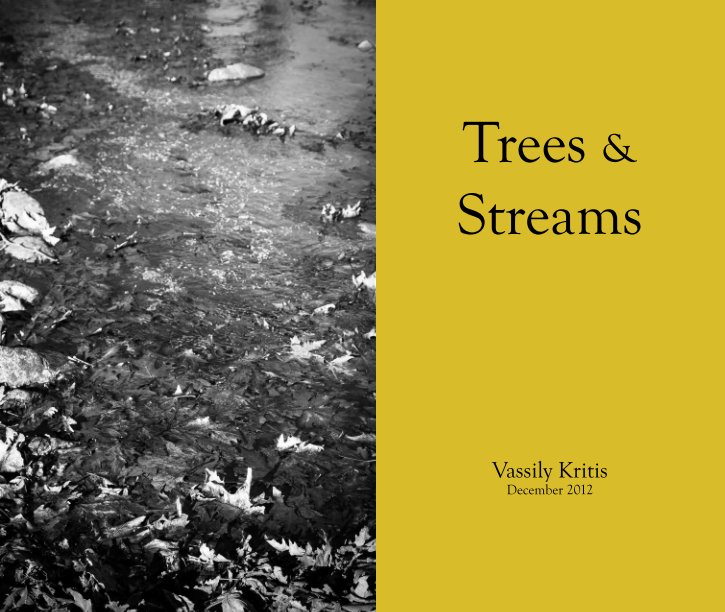 View Trees and Streams by Vassily Kritis