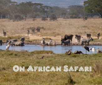 On African Safari book cover