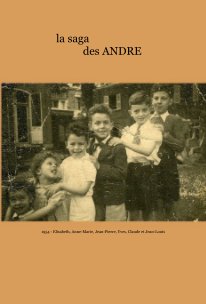 la saga des ANDRE book cover