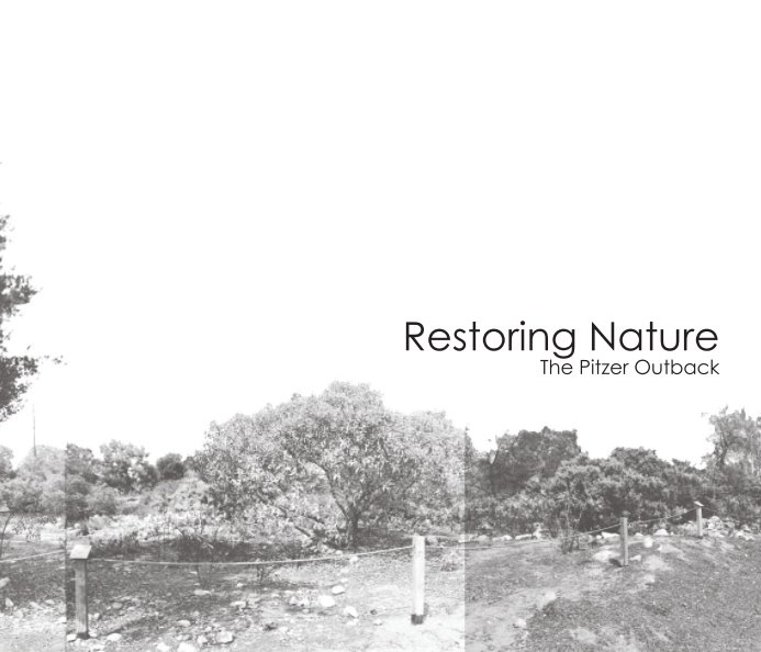 View Restoring Nature by Nisreen Azar and Paul Faulstich