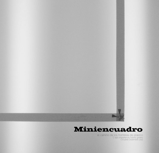 Ver Miniencuadro por C-aps experience, hybrid gallery Octubre-Diciembre 2012