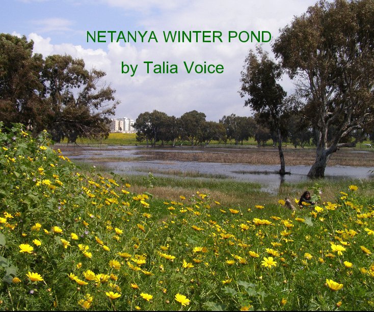 View NETANYA WINTER POND by Talia Voice