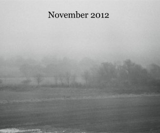 November 2012 book cover