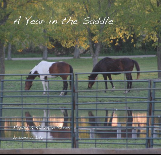 View A Year in the Saddle by Laura V. Gatz