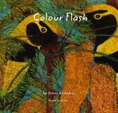 Colour Flash book cover