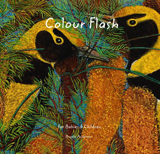 View Colour Flash by Angela Anderson