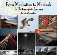 From Manhattan to Montauk book cover