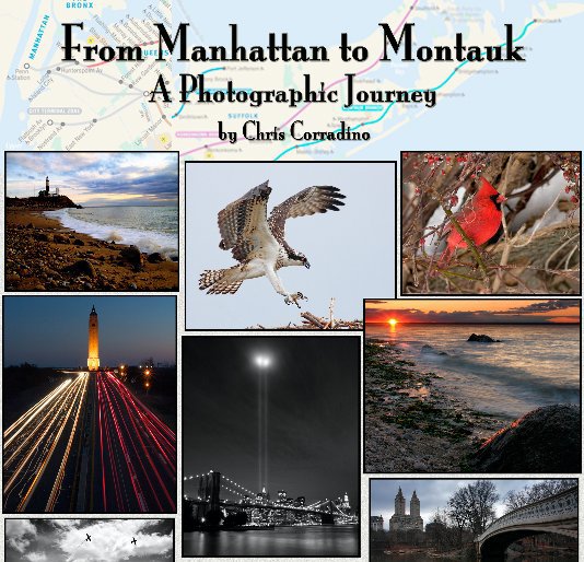 View From Manhattan to Montauk by Chris Corradino