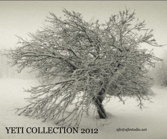YETI COLLECTION 2012 book cover