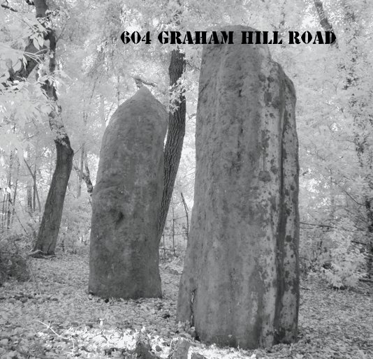 Visualizza 604 Graham Hill Road di Peggy Ann Jones