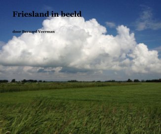 Friesland in beeld book cover